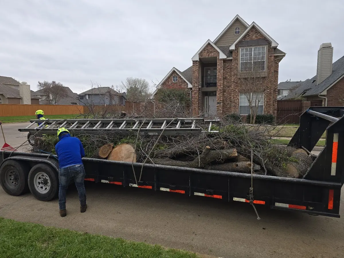 Expert Tree Fertilization with proper safety equipment in Cedar Park